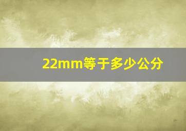 22mm等于多少公分