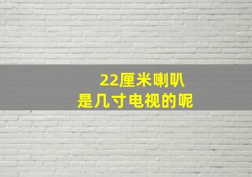 22厘米喇叭是几寸电视的呢