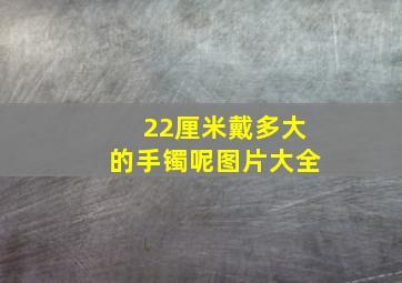 22厘米戴多大的手镯呢图片大全