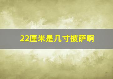 22厘米是几寸披萨啊