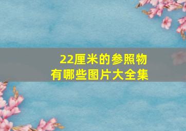 22厘米的参照物有哪些图片大全集