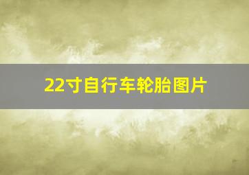 22寸自行车轮胎图片