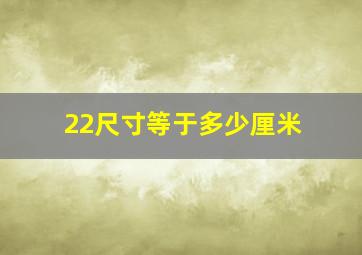 22尺寸等于多少厘米