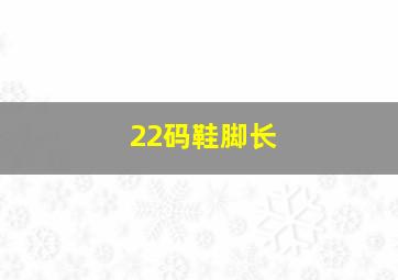 22码鞋脚长