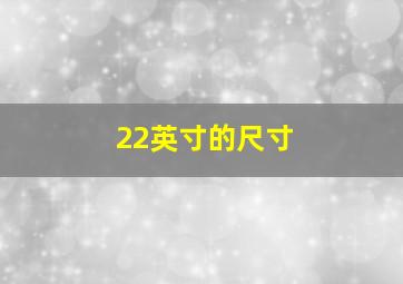 22英寸的尺寸