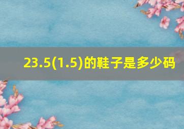 23.5(1.5)的鞋子是多少码