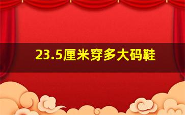 23.5厘米穿多大码鞋