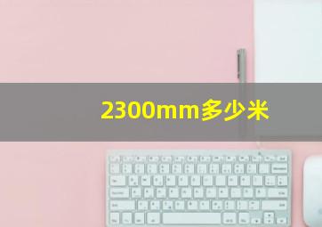 2300mm多少米