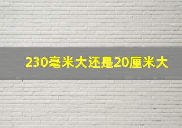 230毫米大还是20厘米大