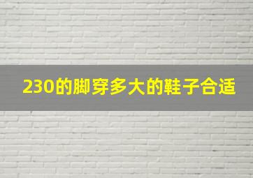 230的脚穿多大的鞋子合适