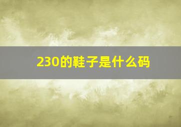 230的鞋子是什么码