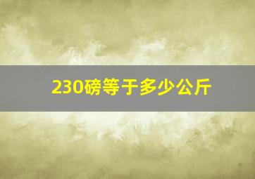 230磅等于多少公斤