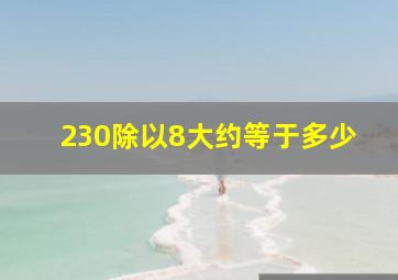 230除以8大约等于多少