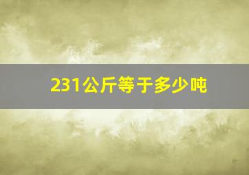 231公斤等于多少吨