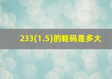 233(1.5)的鞋码是多大