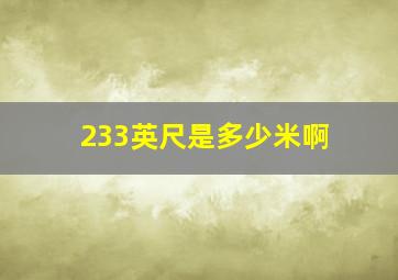 233英尺是多少米啊