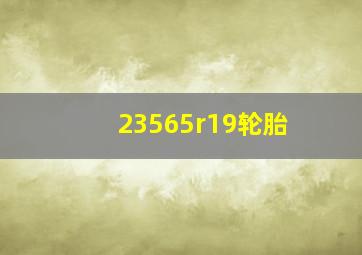 23565r19轮胎