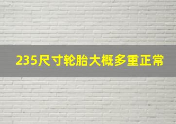 235尺寸轮胎大概多重正常