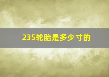 235轮胎是多少寸的