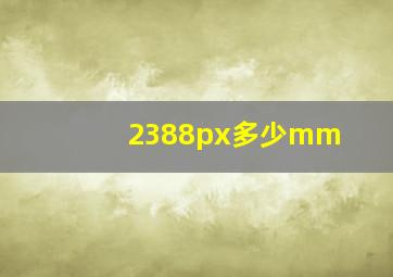 2388px多少mm