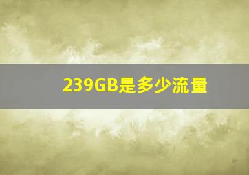 239GB是多少流量