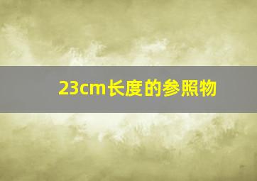 23cm长度的参照物