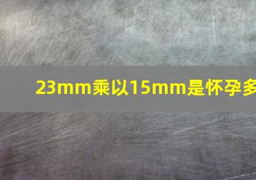 23mm乘以15mm是怀孕多久