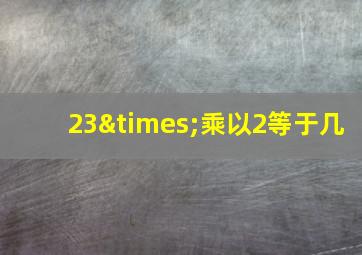 23×乘以2等于几