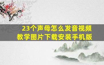 23个声母怎么发音视频教学图片下载安装手机版