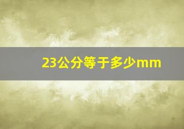 23公分等于多少mm