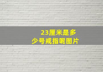 23厘米是多少号戒指呢图片