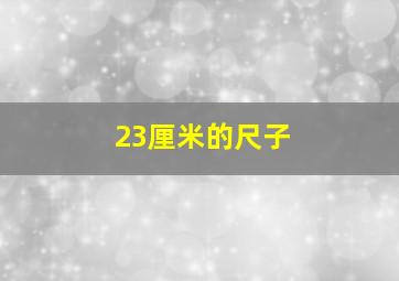 23厘米的尺子