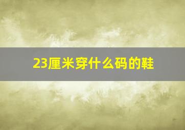 23厘米穿什么码的鞋