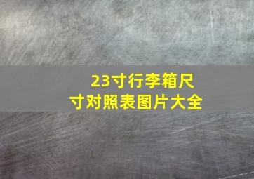 23寸行李箱尺寸对照表图片大全