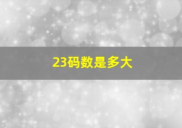 23码数是多大