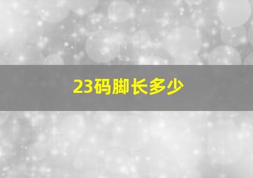 23码脚长多少