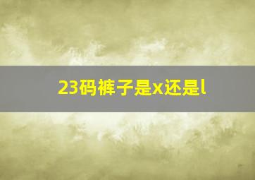 23码裤子是x还是l