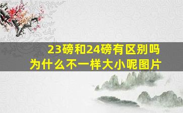 23磅和24磅有区别吗为什么不一样大小呢图片