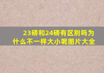 23磅和24磅有区别吗为什么不一样大小呢图片大全