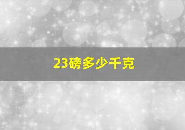 23磅多少千克