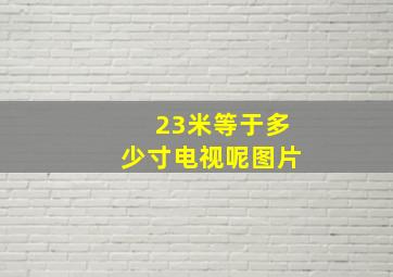 23米等于多少寸电视呢图片