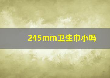 245mm卫生巾小吗