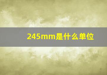 245mm是什么单位