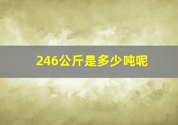 246公斤是多少吨呢