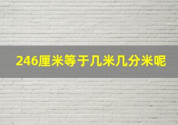 246厘米等于几米几分米呢