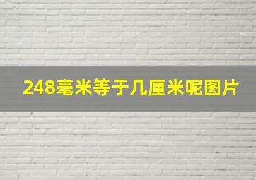 248毫米等于几厘米呢图片