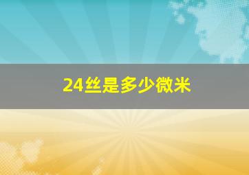 24丝是多少微米