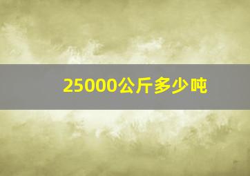 25000公斤多少吨