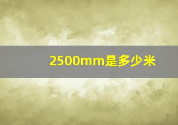 2500mm是多少米