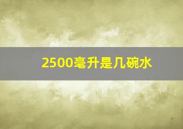 2500毫升是几碗水